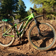 Should have bought a nicer replacement suspension fork.